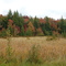 Fall colours on Ferguson Road, near Burk's Falls, Ontario.