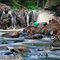 Brooks Falls Gathering