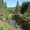 Old highway 509 bridge?