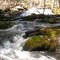 Grindstone Creek Waterfall