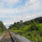 Train Tracks, Kirby Rd.  Looking S-SE