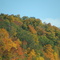Fall colours
