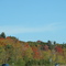 Fall colours