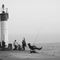 Salmon Fishing - Port Hope, ON