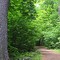 Gillies Grove