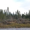Damage from Spring Ice over-flow