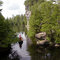 Canoeing in Rockwood