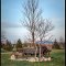 Ontario 2013:04:26