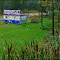 Terry's Chip Wagon in Muskoka. No place for connoisseurs and foodies.