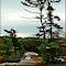 Huckleberry Rock, overlooking Milford Bay. Classic Muskoka fall view.
