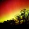northern lights Torrance 1