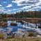 Historic Building and Beaver Pond