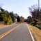 Looking east on Beaufort Road