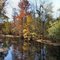 Pretty creek view
