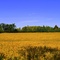 Seasons In The Valley