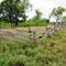 Old Rail Fence