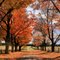 Lovers Lane