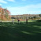 Thanksgiving Golf