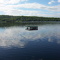 Summer on Pine 2005
