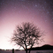 Light Pollution