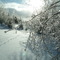 Winter Glitter
