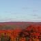 Thanksgiving near Haliburton