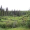 Meandering Creek