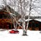 HALIBURTON RETREAT
