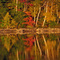northern reflections