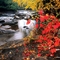 Richie Falls
