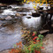 Stream