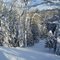Drag River - Winter 2010