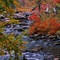 Oxtongue river