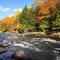 Oxtongue Rapids