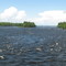 Rivière des Outaouais