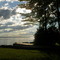 late day sun thorugh trees on Ottawa River