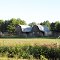 Interesting twin barns.