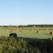 A good hay crop.