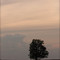 Tree With Approaching Storm