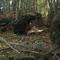 Interesting outcrop of rock by the Rocky Saugeen