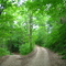 Allen Park Backroads