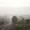 Misty Morning