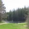 Allan Park Trout Pond
