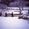 Ontario winter 2