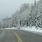 Driving on the 101 in December