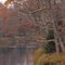 Black River in Late Autumn