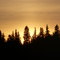 sunset @ stoddart