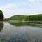 Lapp Pond