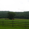 Kent - CT