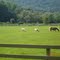 Kent,ct